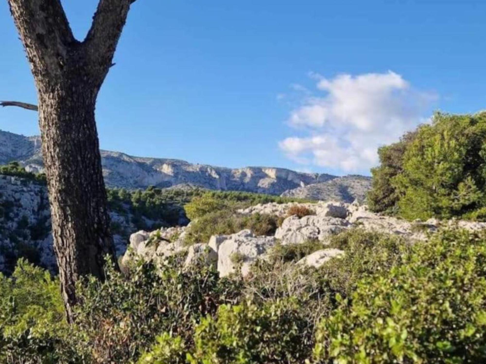 Le Perchoir De Cassis Cocoon Apartman Kültér fotó